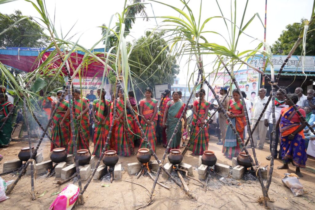 பொங்கல் விழா - தூத்துக்குடி மாவட்டம் தெய்வசெயல்புரம்