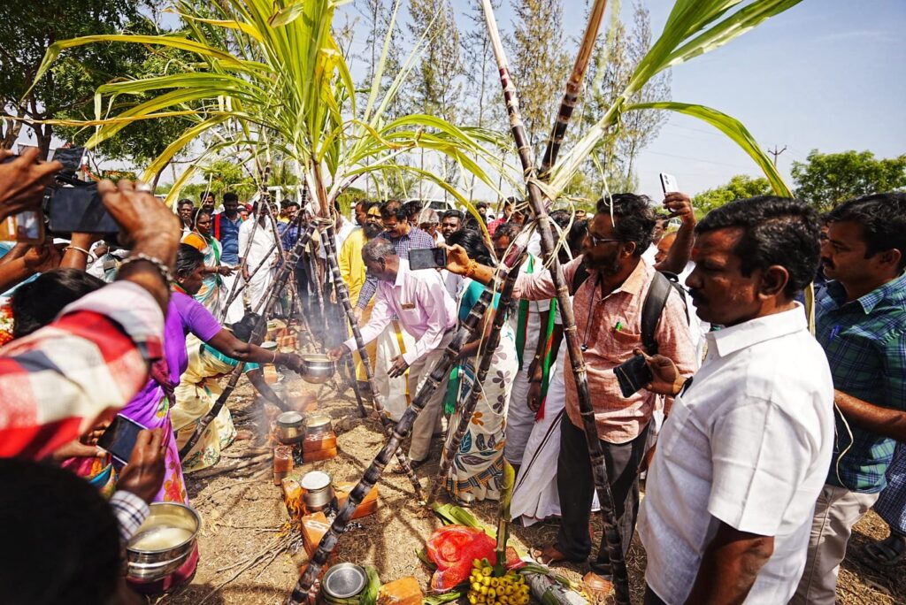 Pongal