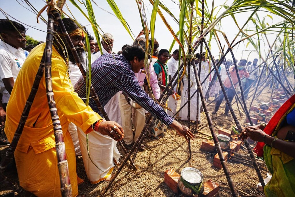 Pongal