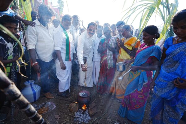 பொங்கல் விழா - மதுரை மாவட்டம் சுப்புலாபுரம்