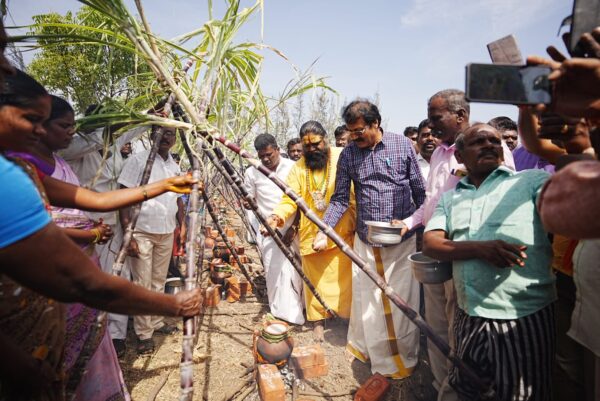 Pongal
