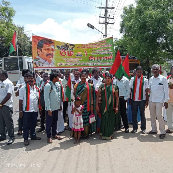 Rajapalayam (5)