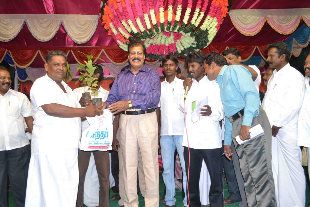 Tenkasi 2013 (6)