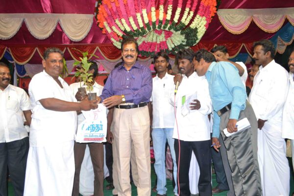 Tenkasi 2013 (6)