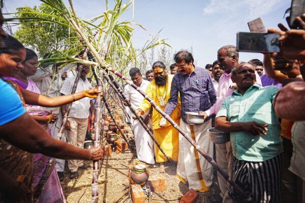 Pongal