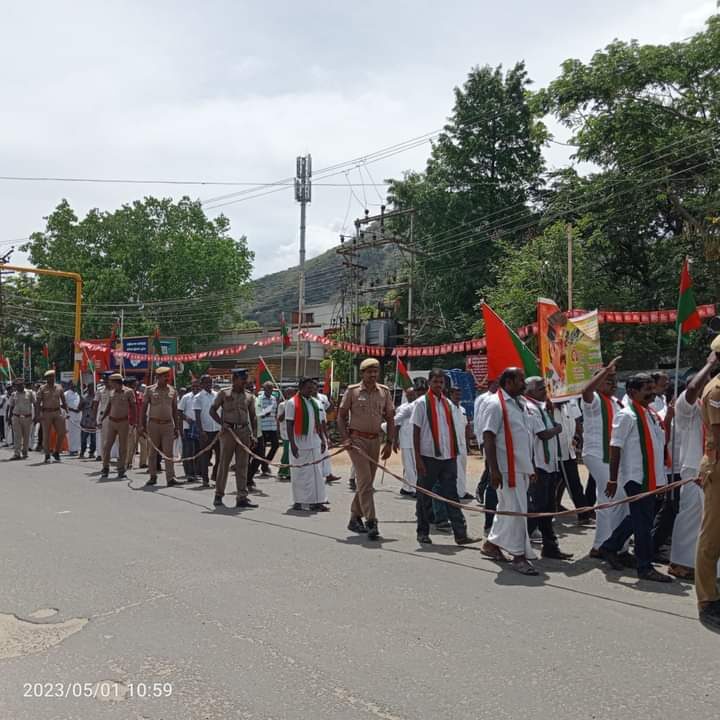 Rajapalayam (4)