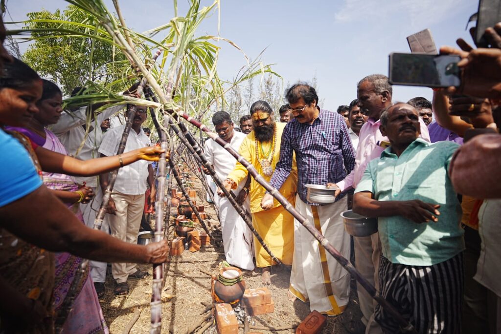 Pongal